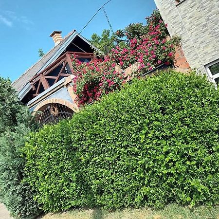 Apartman Vrdnicak Врднік Екстер'єр фото