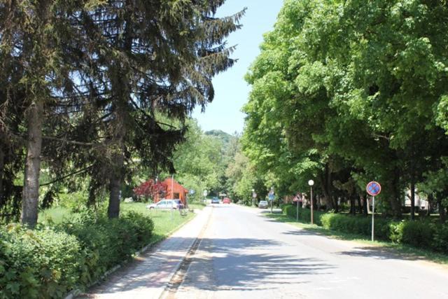 Apartman Vrdnicak Врднік Екстер'єр фото