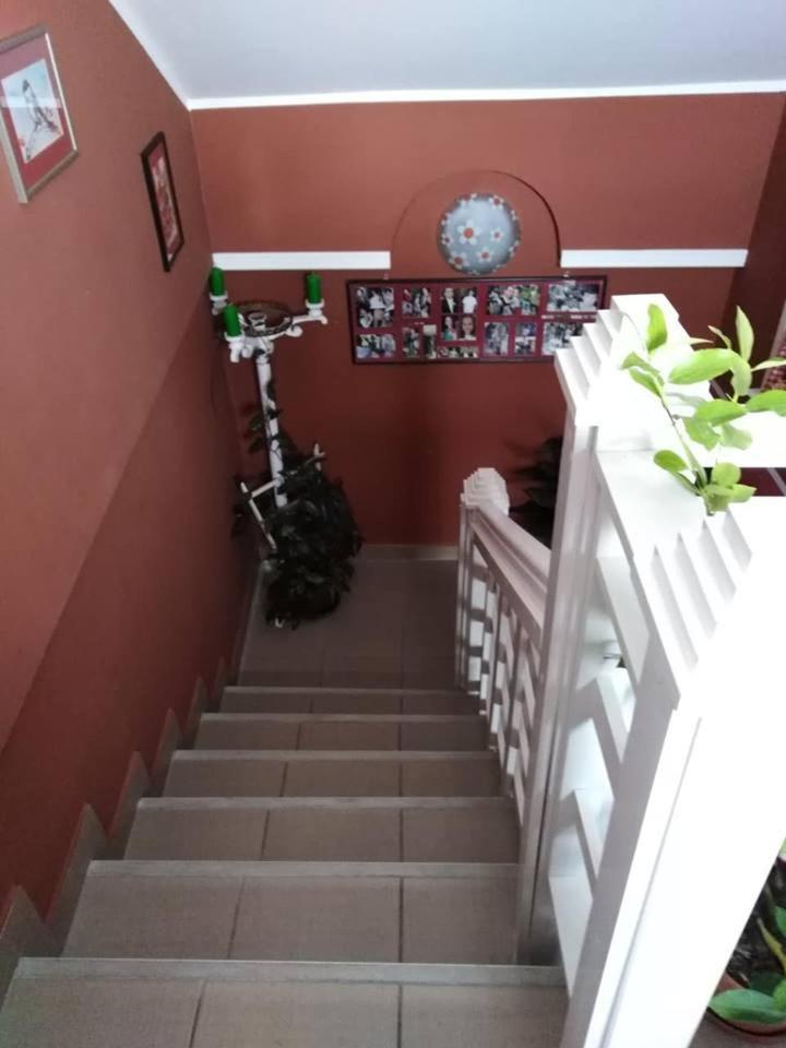 Apartman Vrdnicak Врднік Екстер'єр фото